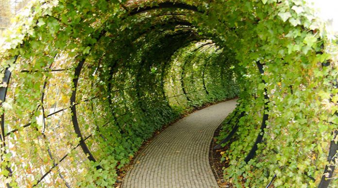 Alnwick: a unique garden where every plant wants to kill you