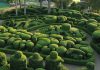 The Gardens of Marqueyssac: discover the exceptional splendor of landscape design