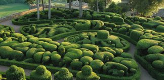 The Gardens of Marqueyssac: discover the exceptional splendor of landscape design