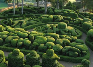 The Gardens of Marqueyssac: discover the exceptional splendor of landscape design