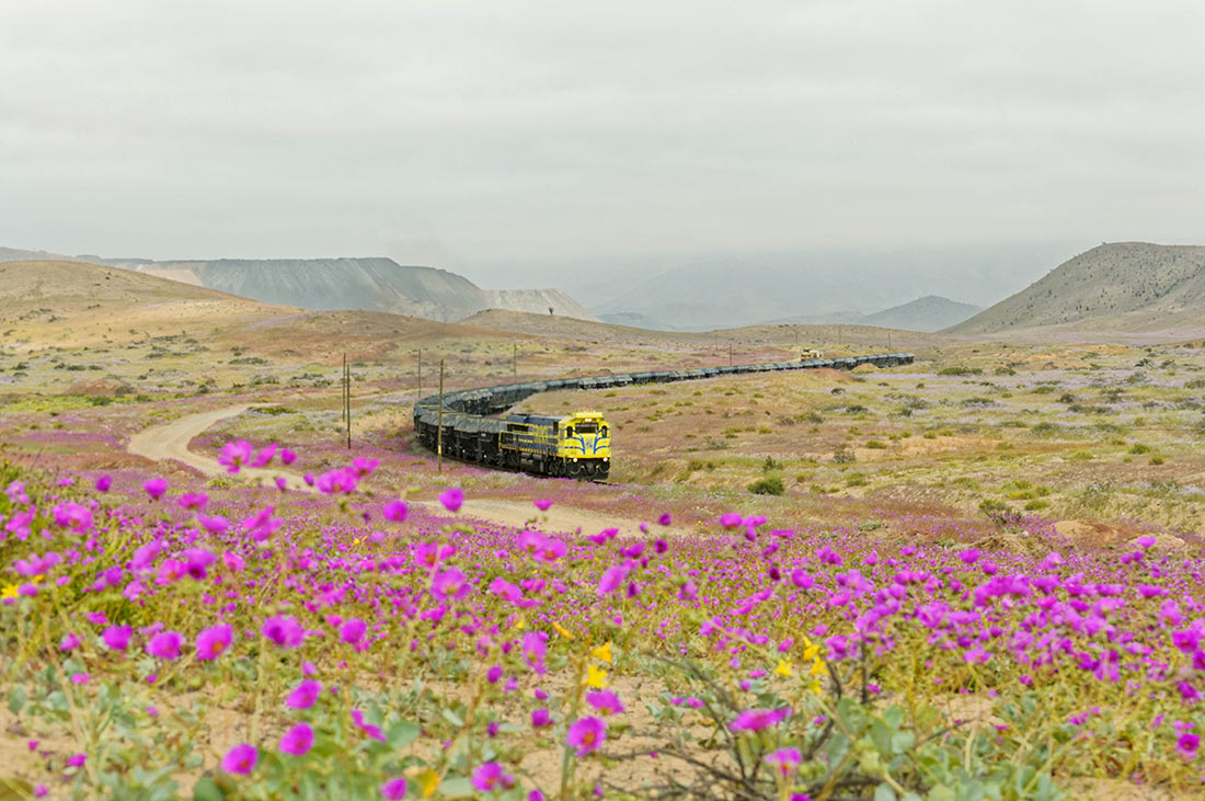 Atacama