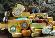 5 Most special and awesome Italian cheeses