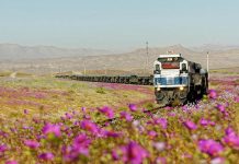Unique natural phenomenon of the Atacama Desert