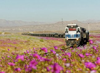 Unique natural phenomenon of the Atacama Desert