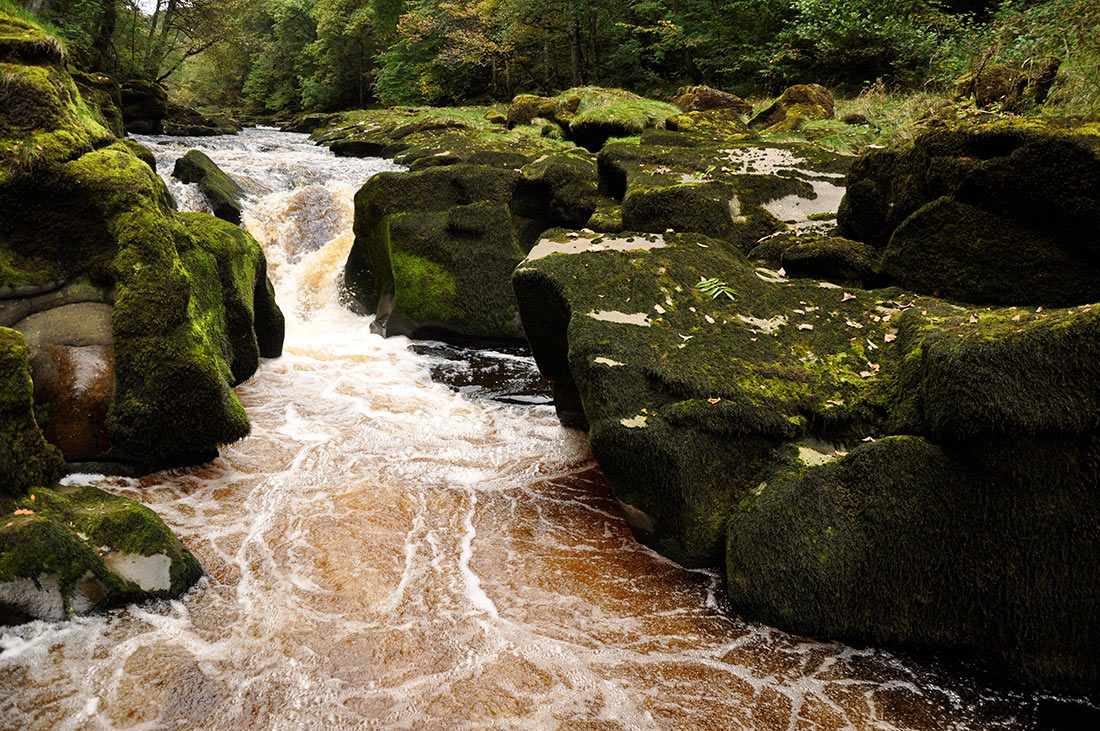 Bolton Strid