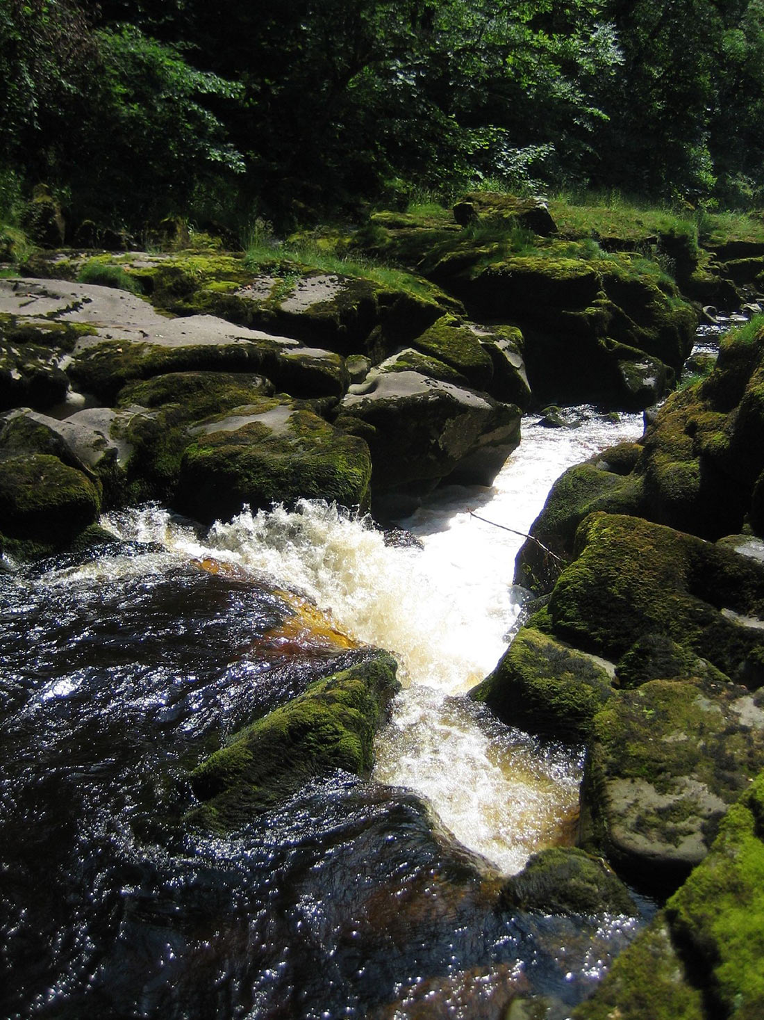 Bolton Strid