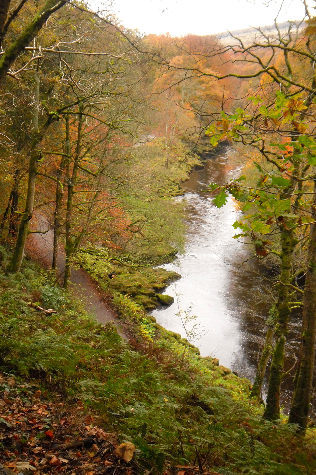 Bolton Strid