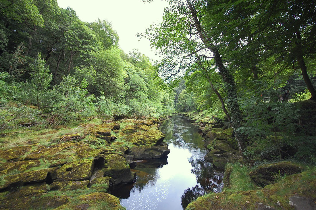 Bolton Strid