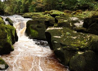 Mysterious Bolton Strid: a stream that swallows people