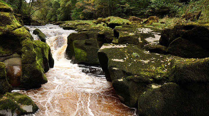 Mysterious Bolton Strid: a stream that swallows people