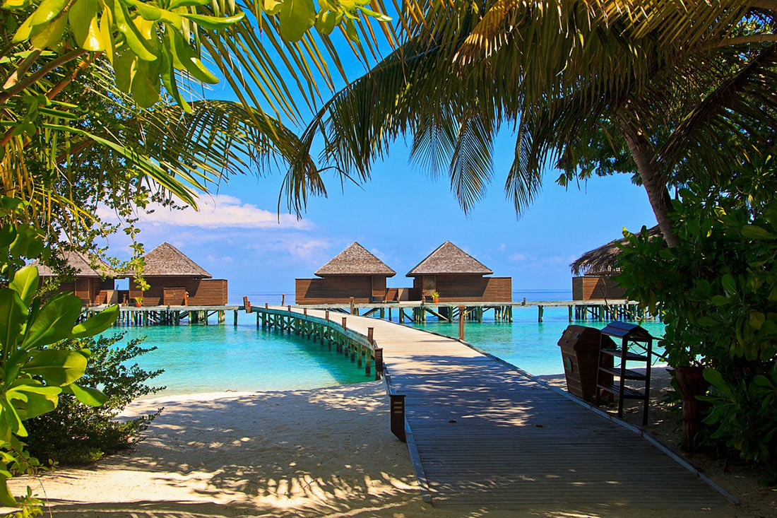 The Maldives