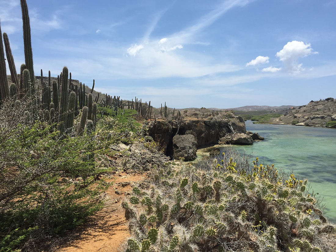 Northern coast of Curaçao