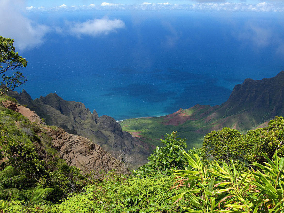 Kaua ʻi
