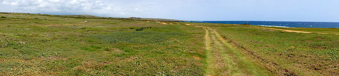 Papakolea green sand beach