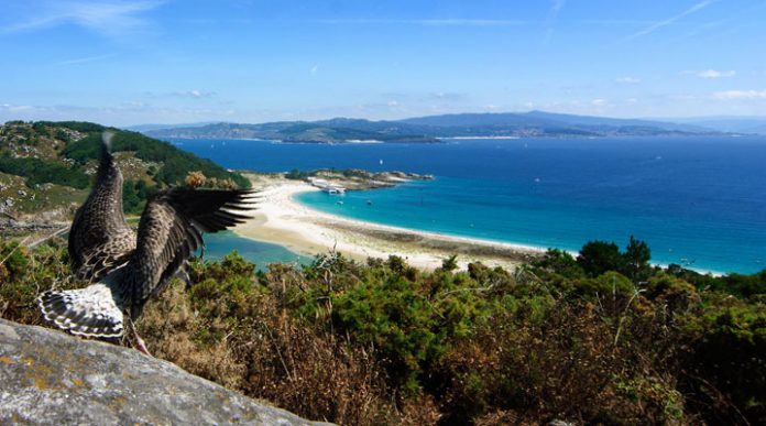 Most beautiful Spanish Islands: 8 exotic places absolutely worth visiting
