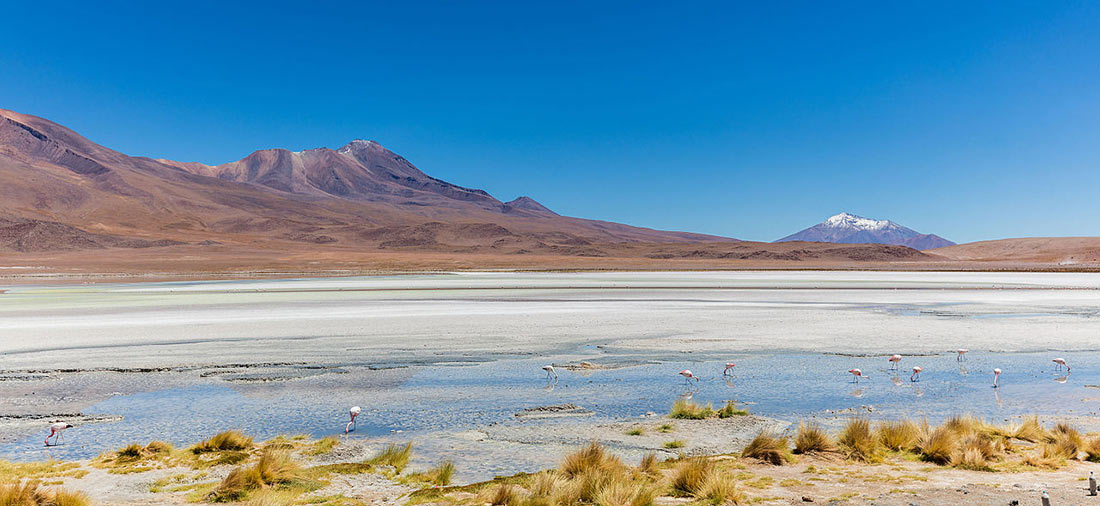 Laguna Hedionda