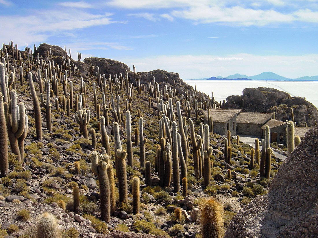 Isla del Pescado