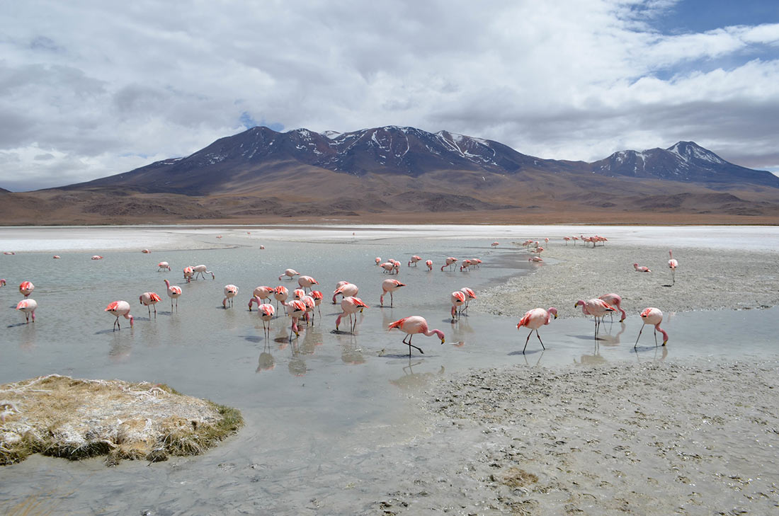 Salar de Uyuni