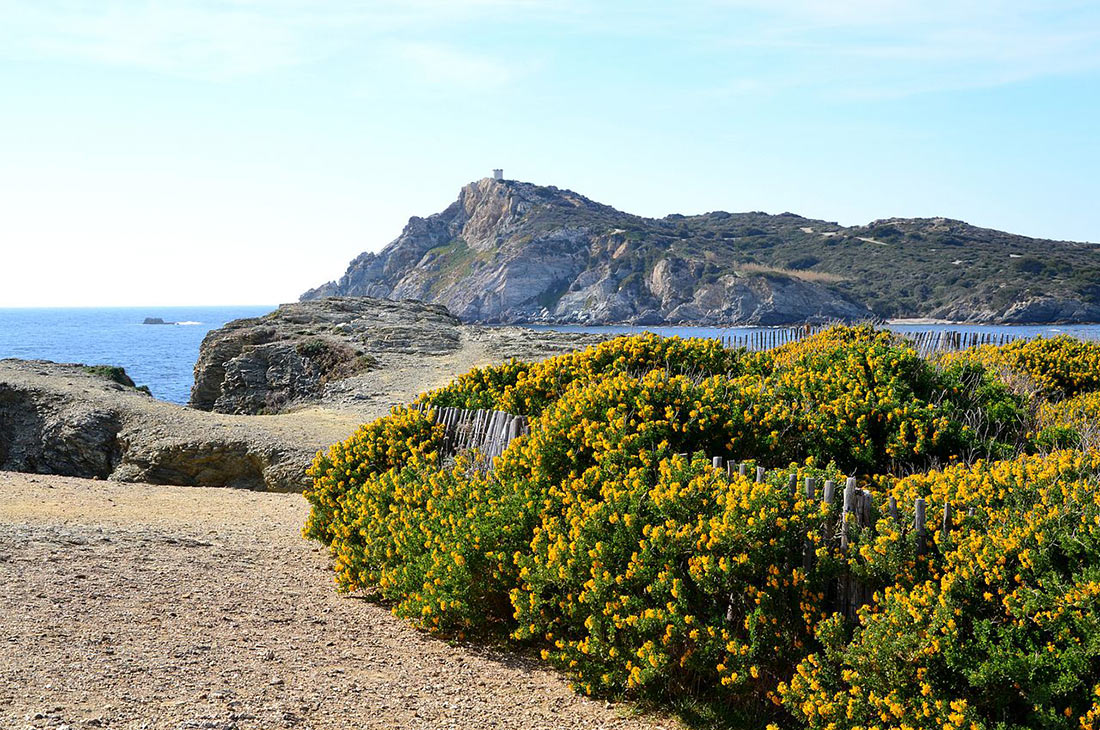 Île des Embiez