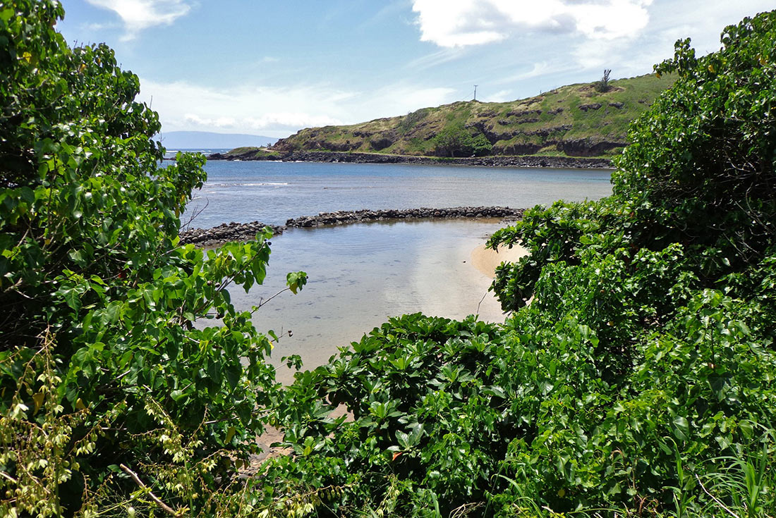 Lānaʻi