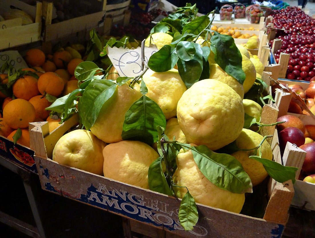 Lemons in Sorrento