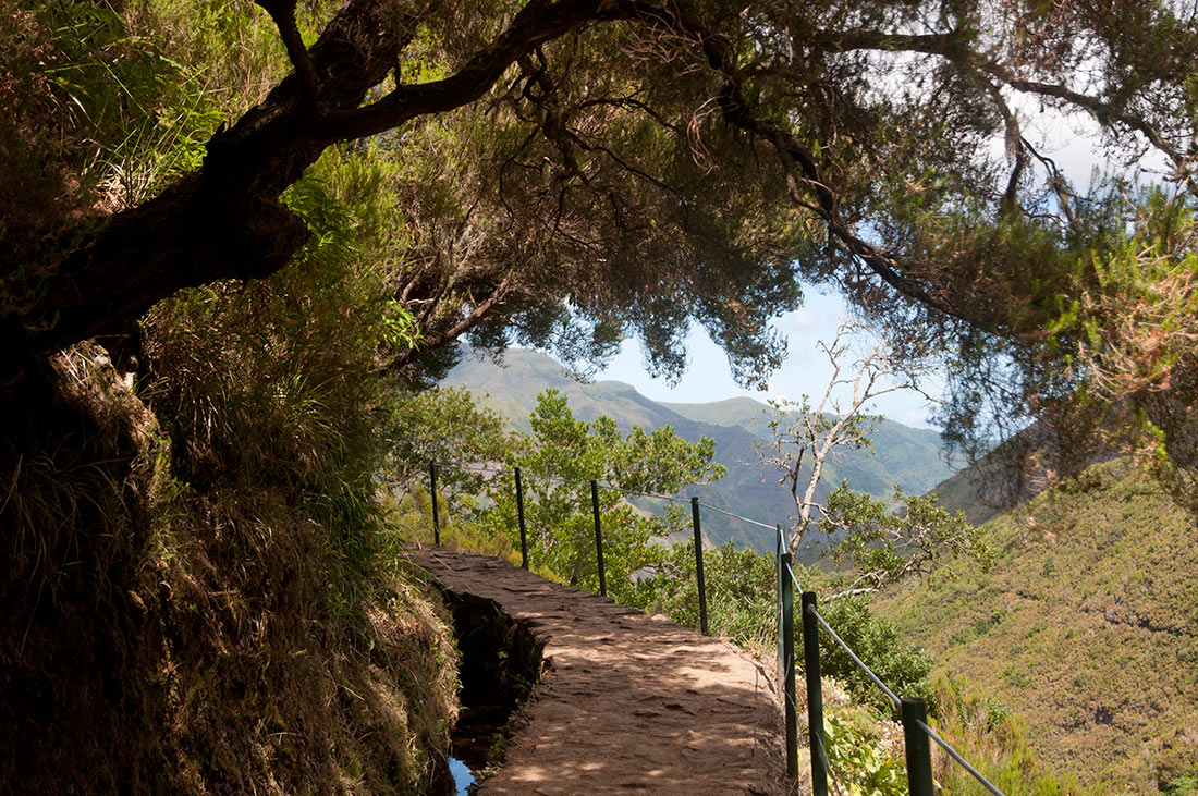 Archipelago of Madeira