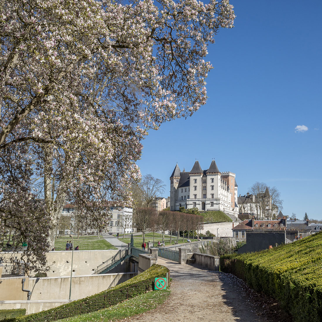 Pau Castle