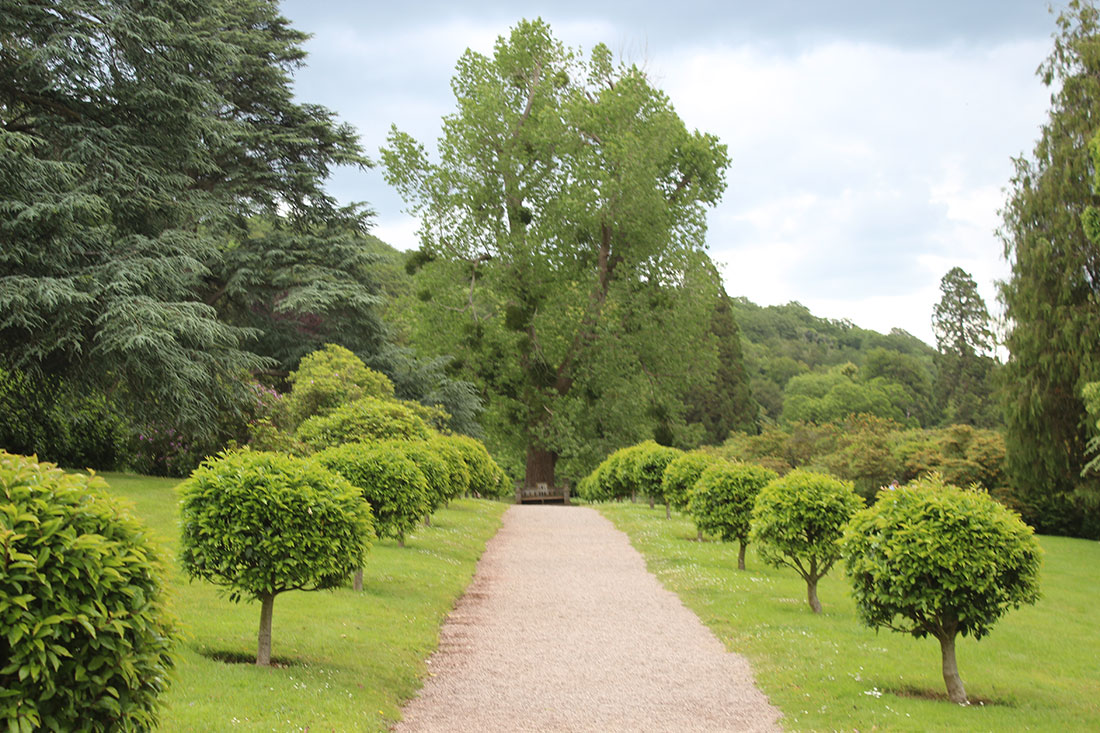 Tyntesfield House